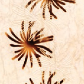 <a href='thumbs/wall/wall3.jpg'>Lara Decor Flora</a>
